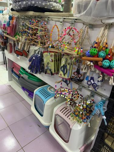 WhatsApp Image 2022-12-28 at 17.25.24 (3)